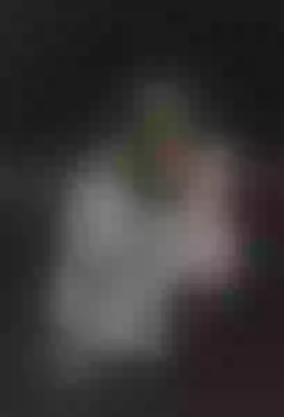 Live sex webcam photo for celestestars #8023490