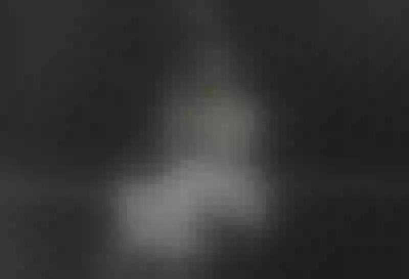 Live sex webcam photo for celestestars #8023491