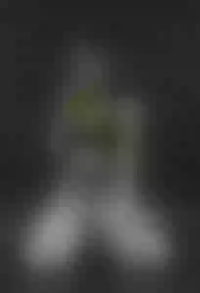 Live sex webcam photo for celestestars #8023489