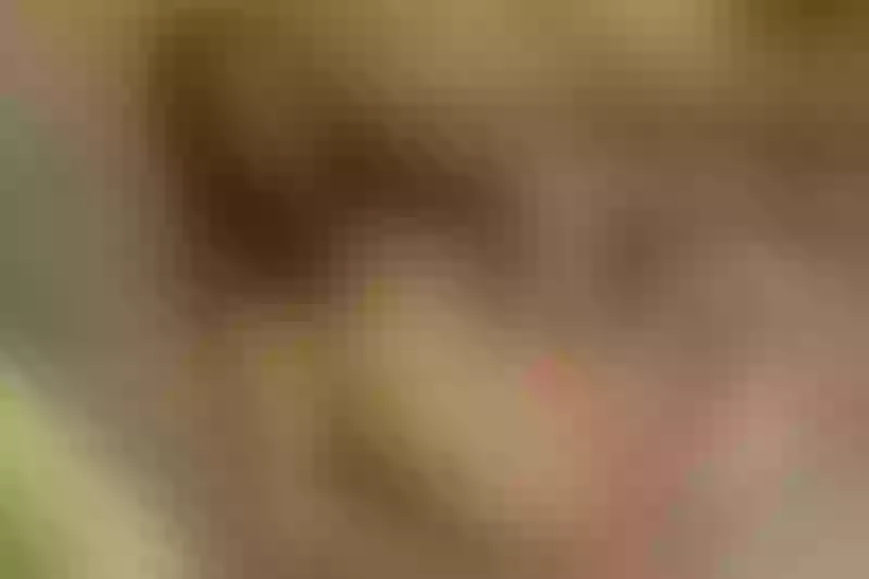 Live sex webcam photo for TitaTits #3827269