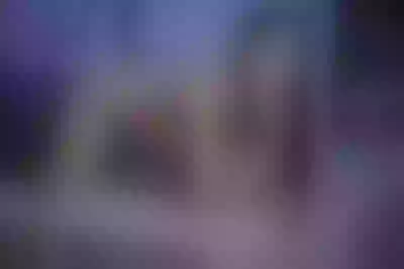 Live sex webcam photo for ElaFoxx #3551687
