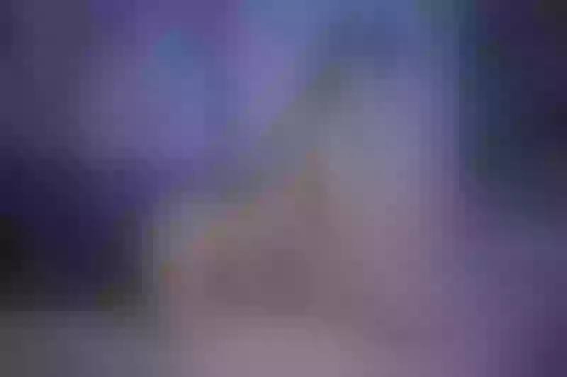 Live sex webcam photo for ElaFoxx #3551688