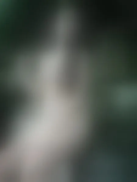 Live sex webcam photo for ElaFoxx #3401397