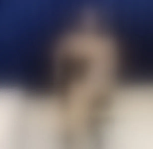 Live sex webcam photo for LaraBumm #3359456