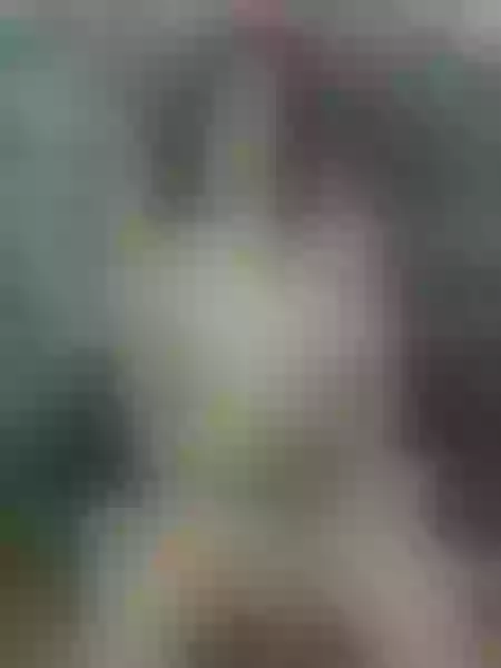 Live sex webcam photo for DollyTaylor #3387641
