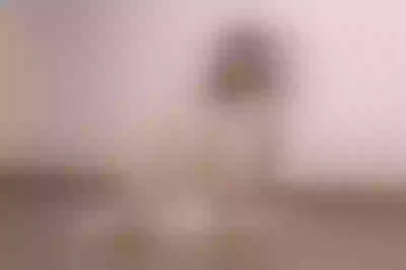 Live sex webcam photo for SofiKray #3517209