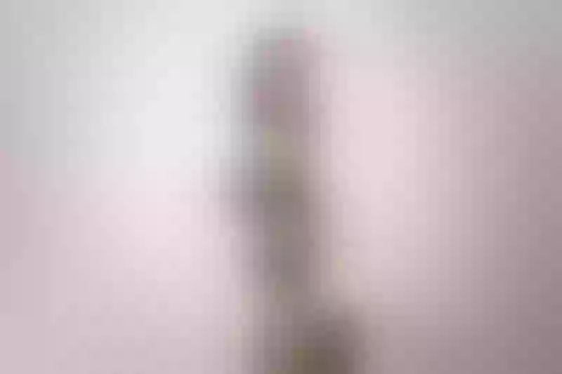 Live sex webcam photo for SofiKray #3517214