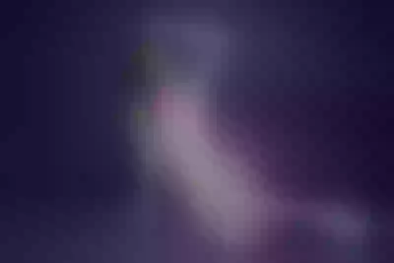 Live sex webcam photo for SelenaReese #5296308