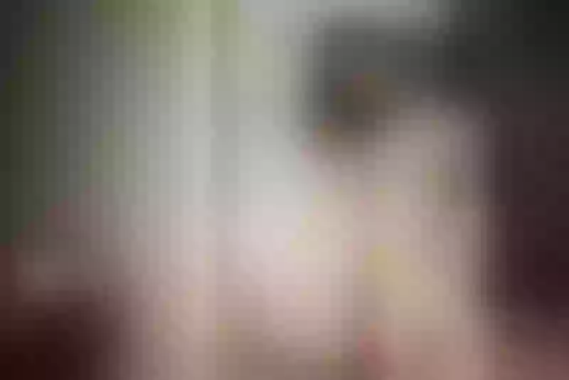 Live sex webcam photo for SelenaReese #3660585