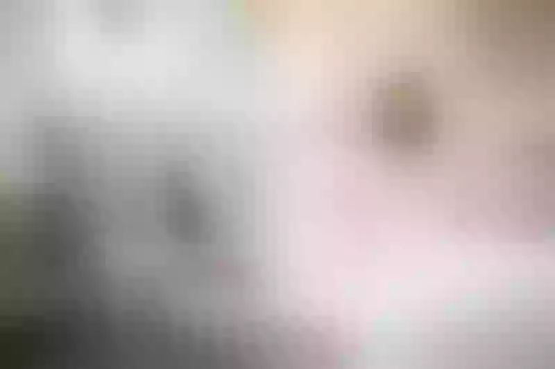 Live sex webcam photo for LilyKent #3470213