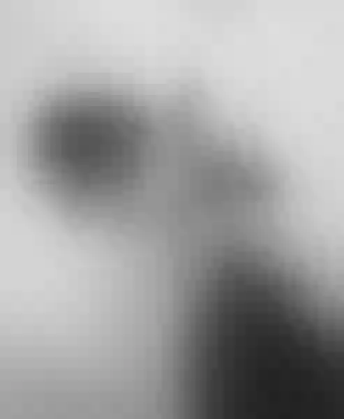 Live sex webcam photo for MalaHilton #3329458