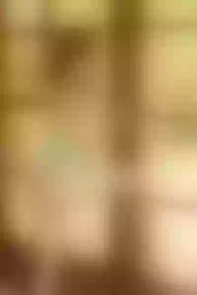 Live sex webcam photo for GraceJonees #6115553
