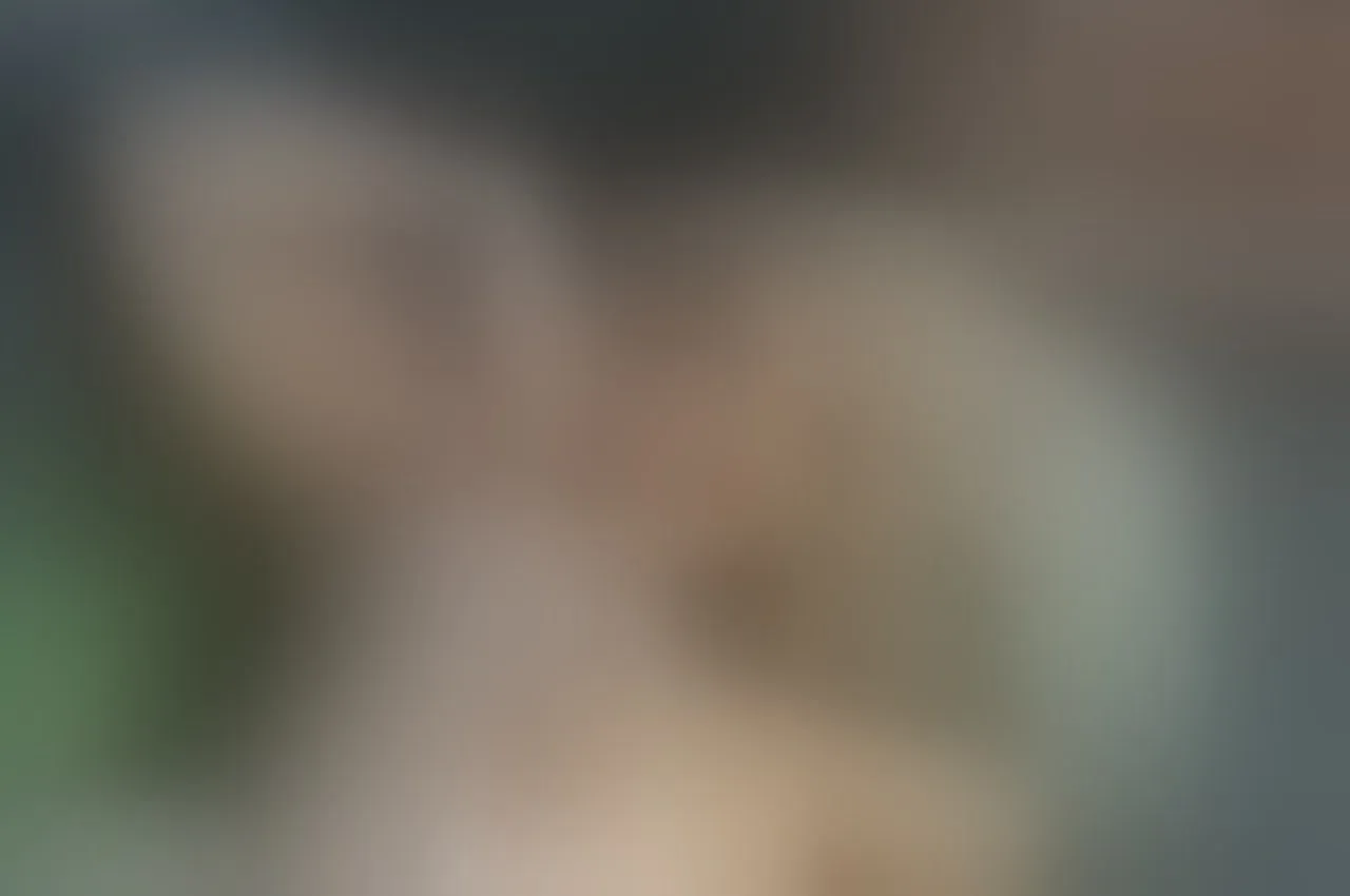 Live sex webcam photo for SeleneRisso #7886583