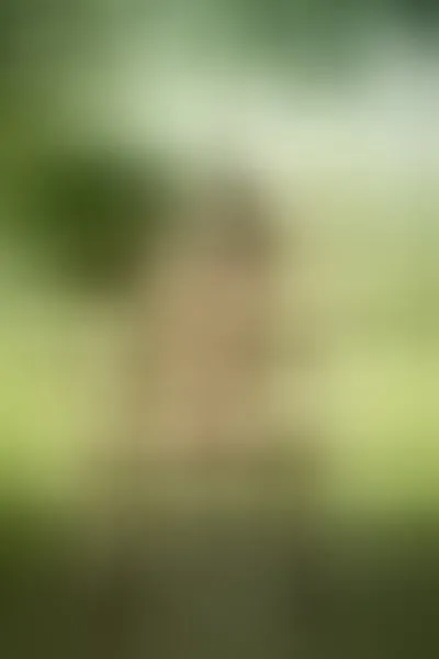 Live sex webcam photo for Jessicasexx #3399313