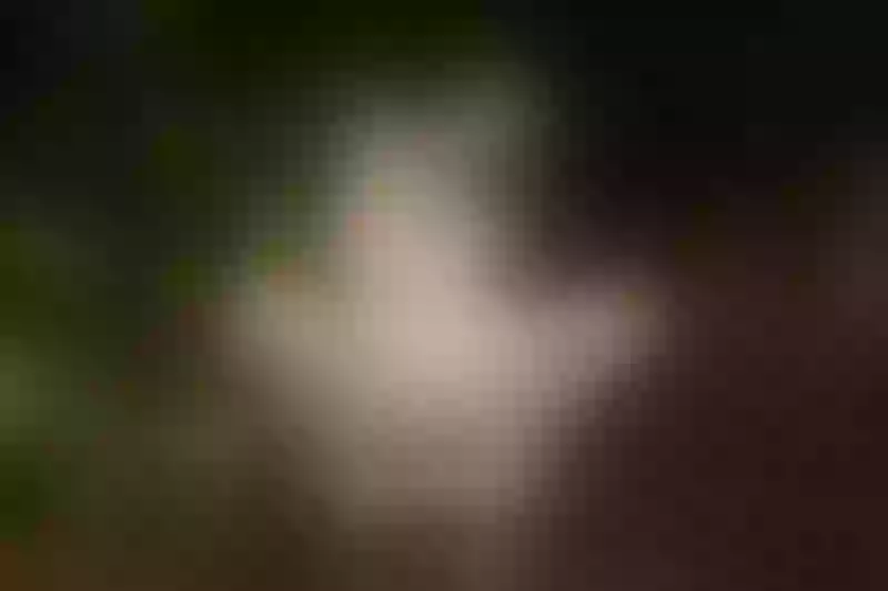 Live sex webcam photo for LizCrost #4145705