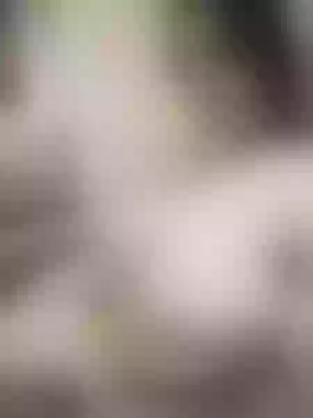 Live sex webcam photo for nohamuller #3685305
