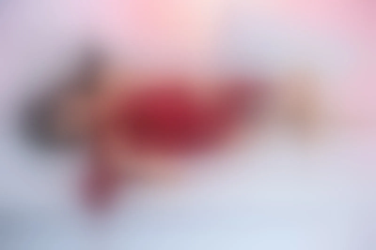 Live sex webcam photo for CHARLOTTEROGUE #7887727