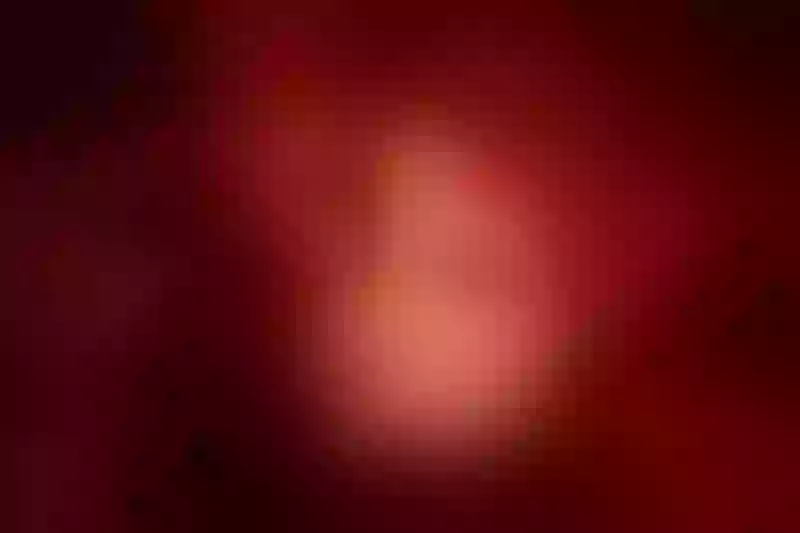 Live sex webcam photo for DannaNichols #3551734