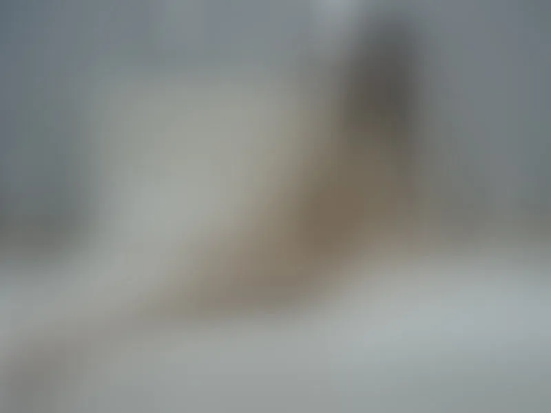 Live sex webcam photo for Liliht #3352506