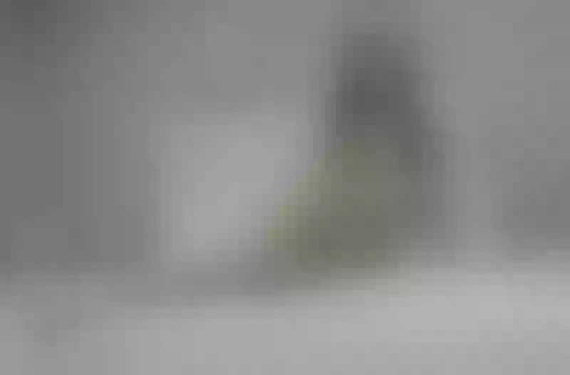Live sex webcam photo for Liliht #3352504