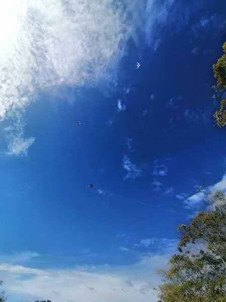 Live sex webcam photo for BrendaRoa #3462365