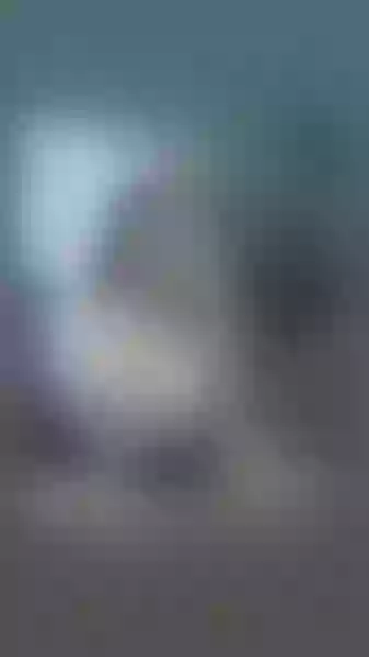 Live sex webcam photo for BrendaRoa #4056422