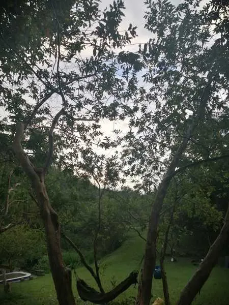 Live sex webcam photo for BrendaRoa #3462364