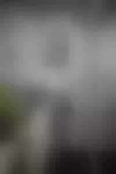 Live sex webcam photo for RaisaMurrell #3359652