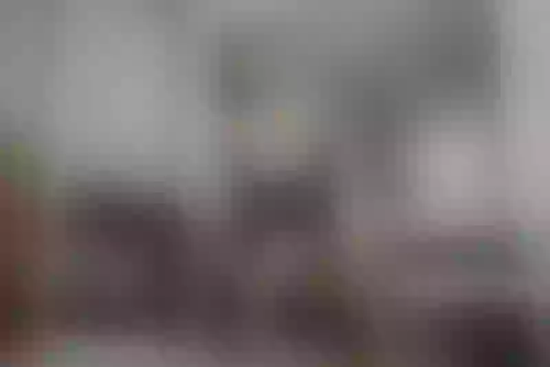 Live sex webcam photo for RaisaMurrell #3359654