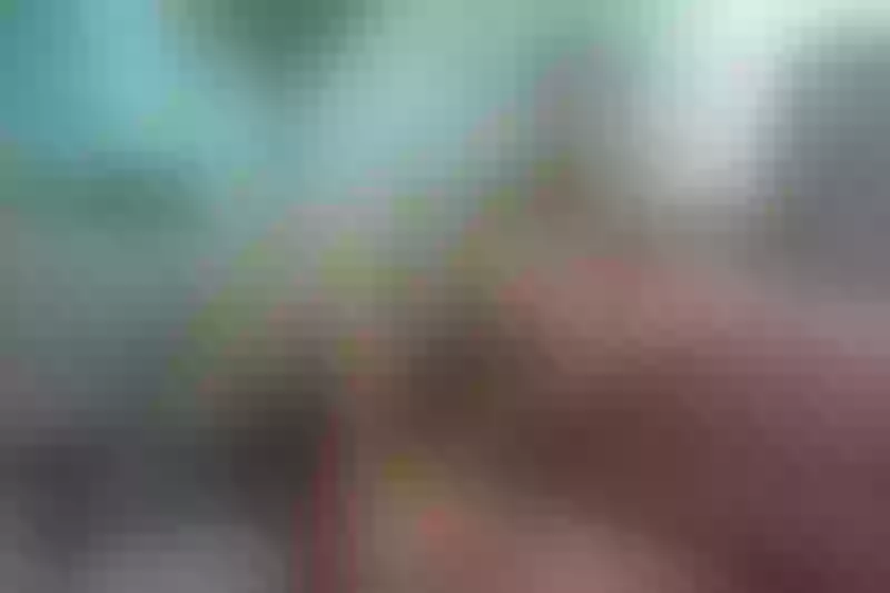 Live sex webcam photo for EmmaCrost #3532301