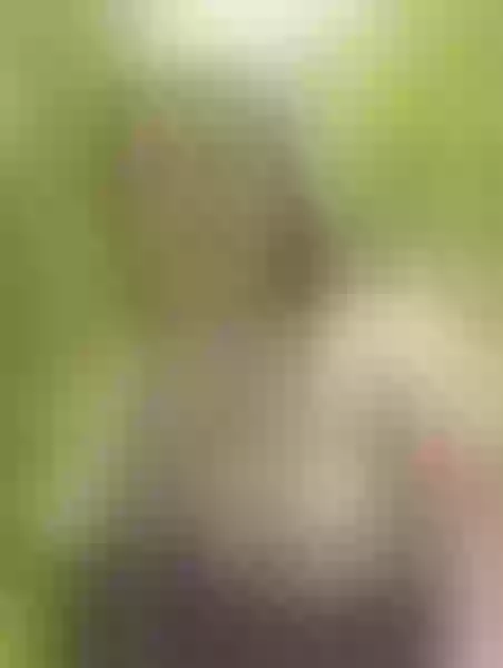 Live sex webcam photo for natally26 #3602961
