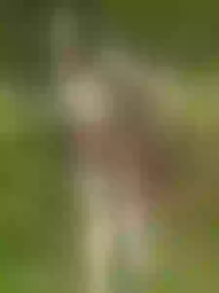 Live sex webcam photo for meghan22 #3396257