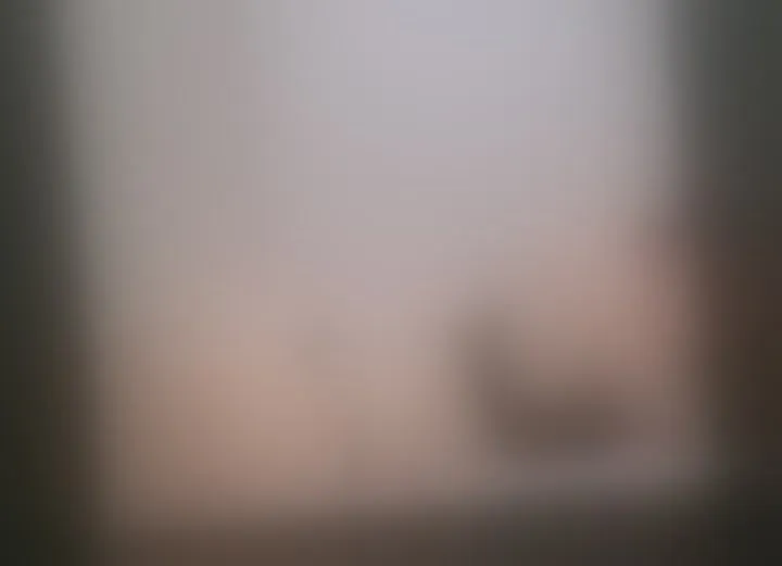 Live sex webcam photo for ExoticCherry #3359717