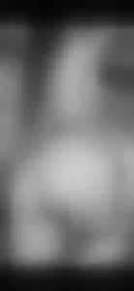 Live sex webcam photo for ARIIANATAYLOOR #4144948