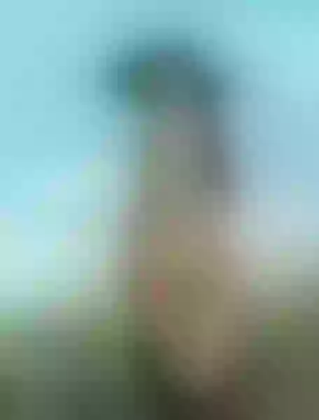Live sex webcam photo for ARIIANATAYLOOR #4144950