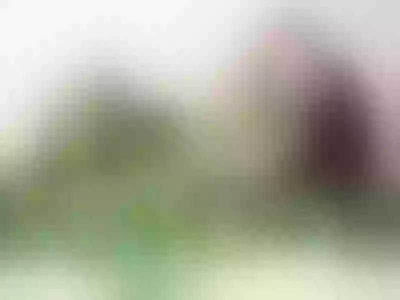 Live sex webcam photo for SophiiaCortez #3380540