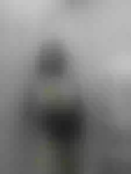 Live sex webcam photo for MoonBigBoobs #3736816