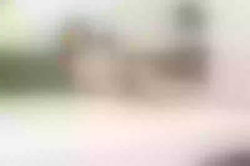 Live sex webcam photo for RosyConnor #3861903