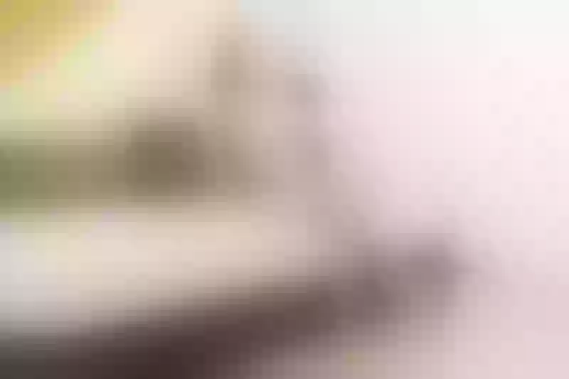 Live sex webcam photo for RosyConnor #3861906