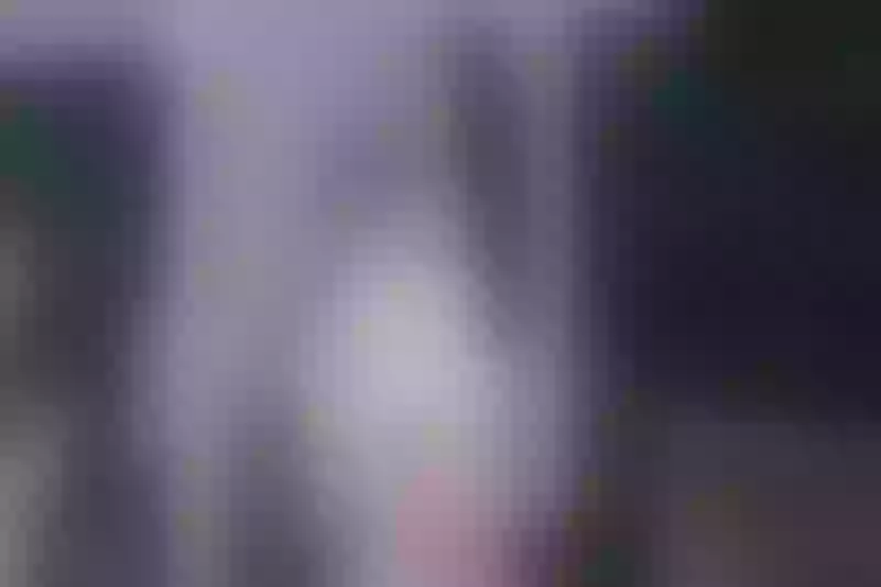 Live sex webcam photo for SharonLenoxx #3380581