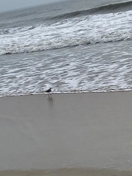 Live sex webcam photo for SummerStunner #3462145