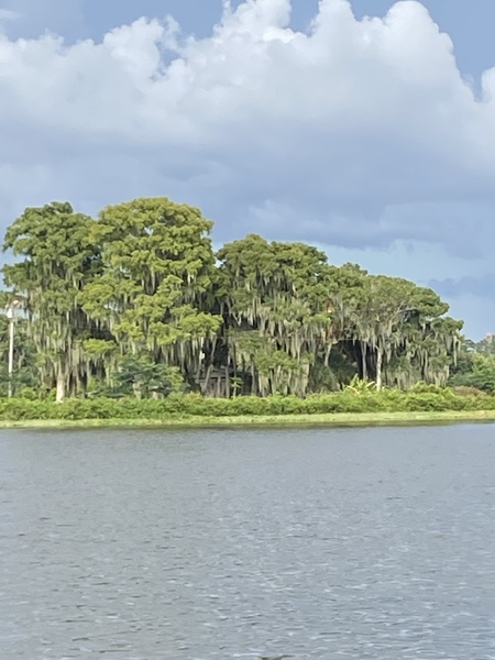 Live sex webcam photo for SummerStunner #3462144