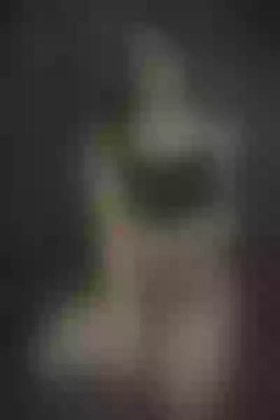Live sex webcam photo for MelodyFetish #3375562