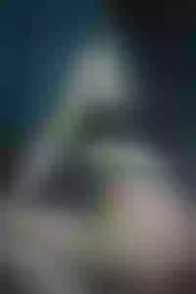 Live sex webcam photo for MelodyFetish #3375548