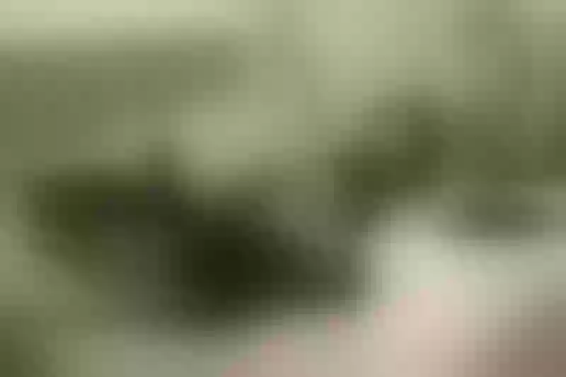 Live sex webcam photo for SharikJordan #7109579