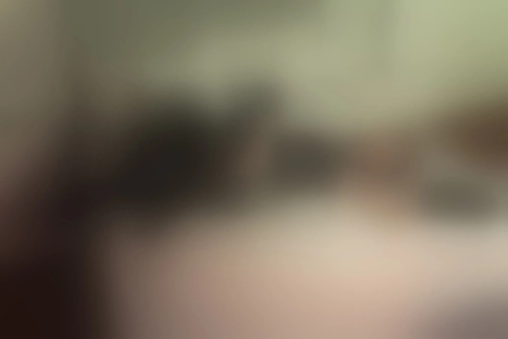 Live sex webcam photo for SharikJordan #7109552