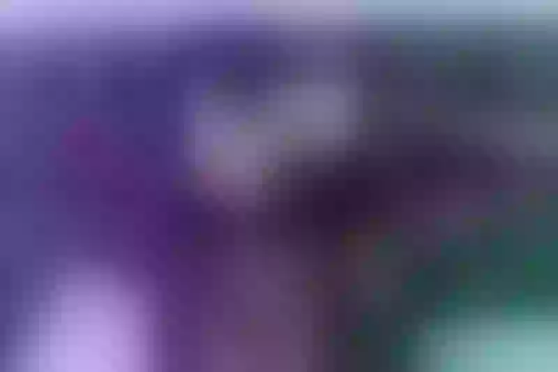 Live sex webcam photo for LadyOcampo #3536154