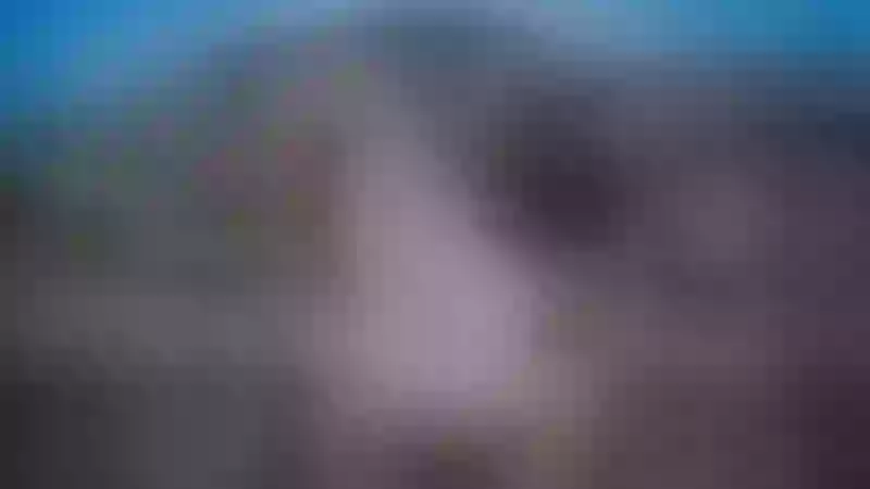 Live sex webcam photo for SerenaGrays #3441306