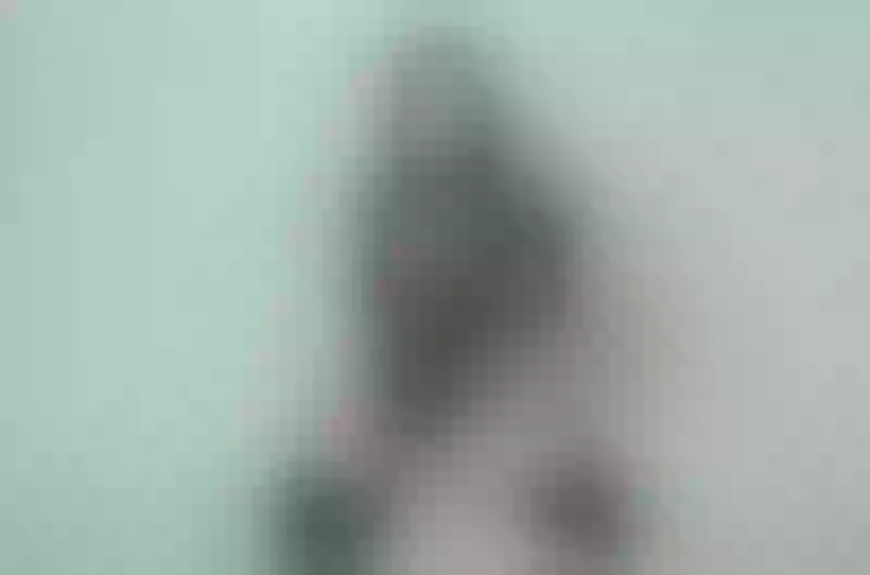 Live sex webcam photo for StormiEvans #3499435