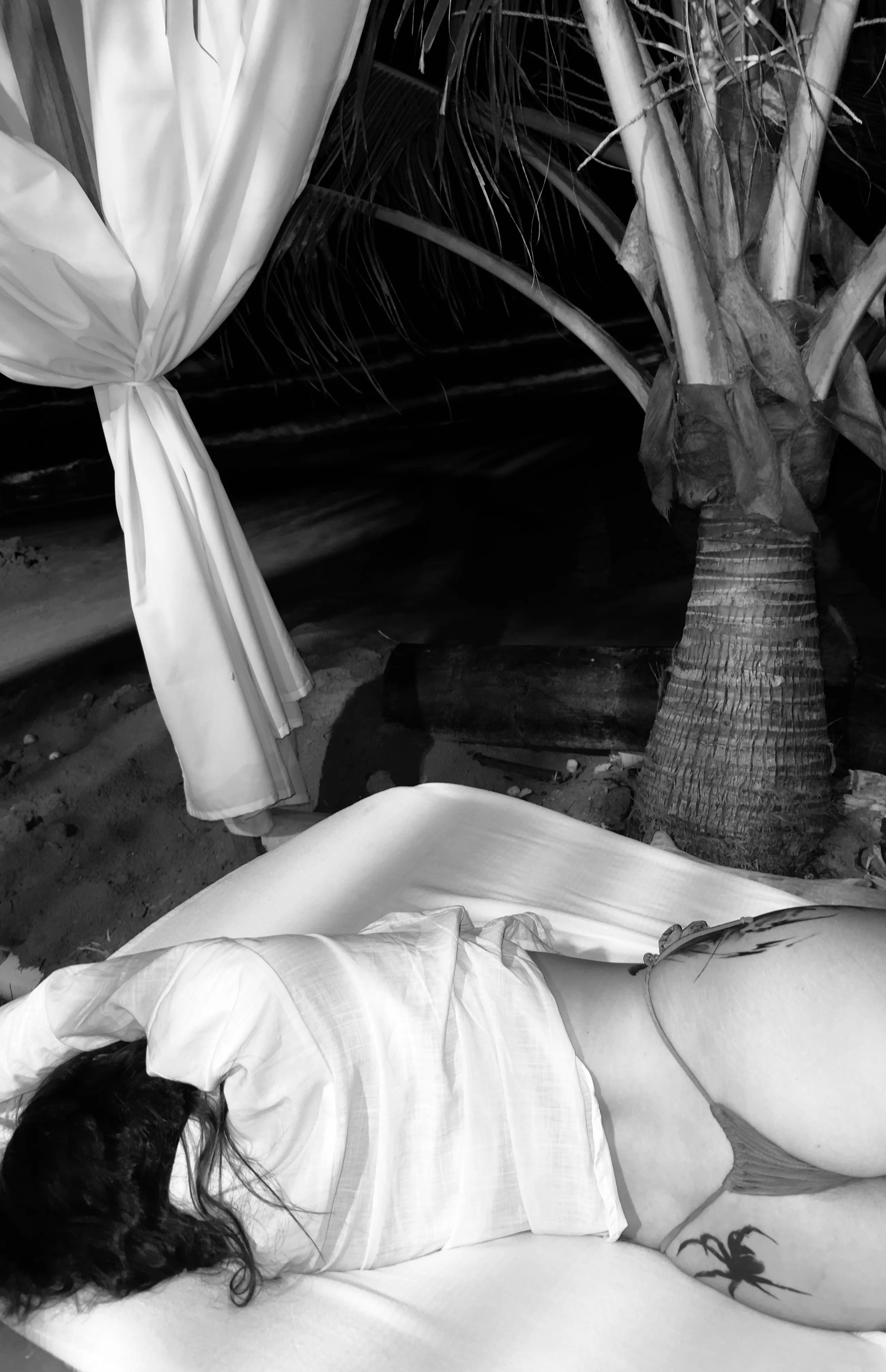 Live sex webcam photo for OceanTaylor #8441176